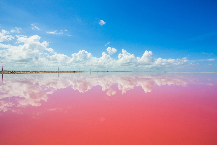 ピンクレイク&フラミンゴ観察&天然全身泥パック体験