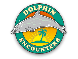 dolphinencounters